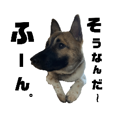 tomomi_20210712215055