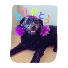 happy39