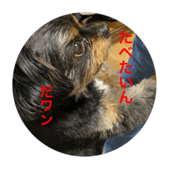 aoi_20210713014542