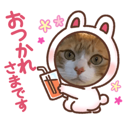 AKIKO_20210713075913