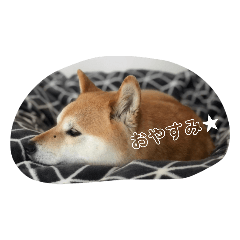 yamada_20210713083857