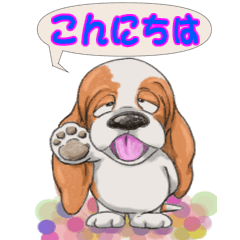 Basset hound 40(dog)