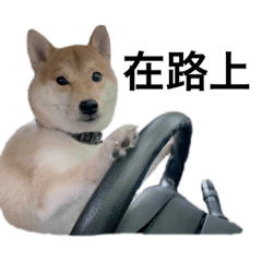 機皮2