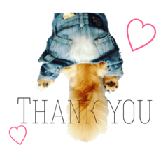 lovedogs!!