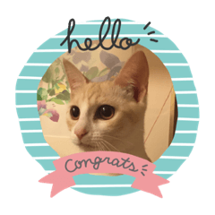 Cindy_20210712220114