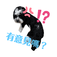 花貴賓BINGO的創意貼圖～～～（重po）