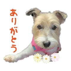 Mocca-chan's Jibun Sticker