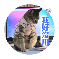 Q比柑柑刺刺