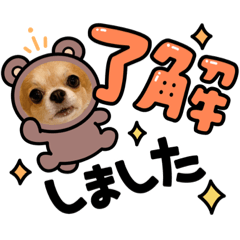naho_20210713040035
