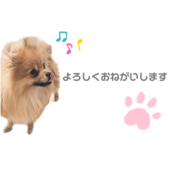 risa_20210712235220