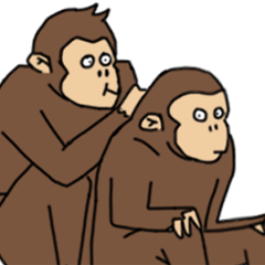 Halu Monkey - Animated