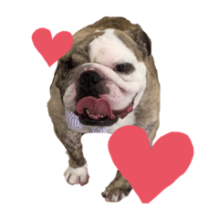 nozomi_20210713115656