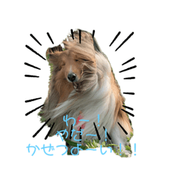 swk_20210713152527 - Stiker LINE | LINE STORE