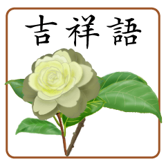 Camellia Series_1