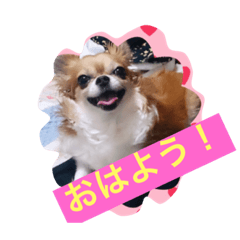 MOMO"s"SMILE