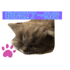 可愛の嘟嘟