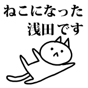 Neko no Asada