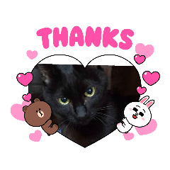 akiko_20210713193131