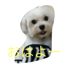 malkan