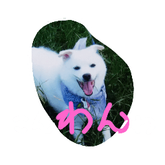 snowy_20210713233015