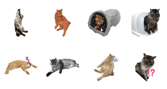 阿見町に住む猫達 Lineクリエイターズスタンプ Stamplist 阿見町に住む猫達 Lineクリエイターズスタンプ Stamplist
