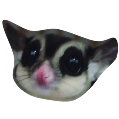 aungchi