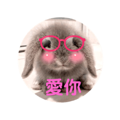 大尾流氓麻吉兔