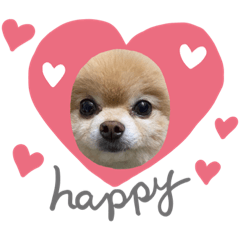 sayuri_20210713225314