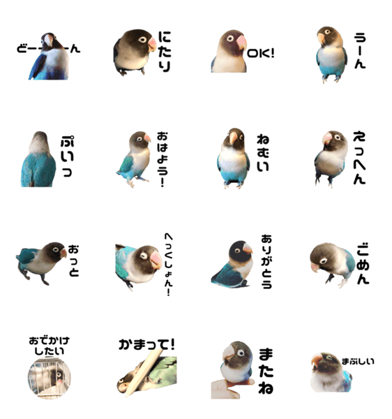 ブルーボタンインコのまるスタンプ Lineクリエイターズスタンプ Stamplist