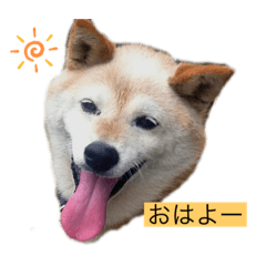 aoi_20210714014515