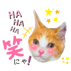 Love cat stamp collection 1st