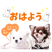 CHOCOTAN and UTAN'S Sticker