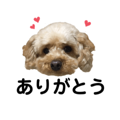 chihiro_20210714130100