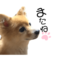 kuuuuuchan0829
