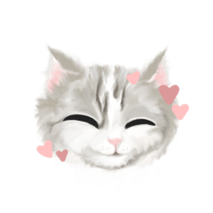 Techi The Cat