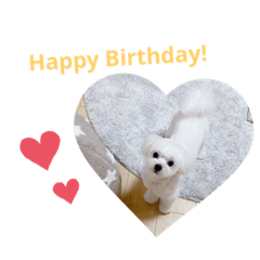 Ayumi_20210713234808