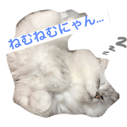 Prince Reo of the cat's kingdom