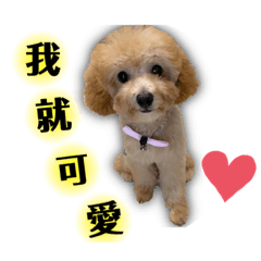 我是碧魯 i.am.bilu
