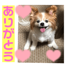 kaori_20210714150626