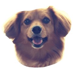 チワックス ラルフ Line スタンプ Line Store