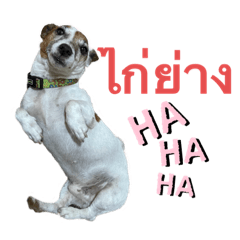 omo_20210713215331