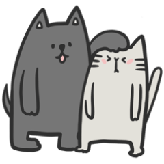 Gray dog & Gray cat !