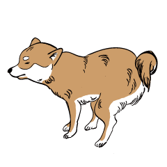 I am MASARU (SHIBAINU)