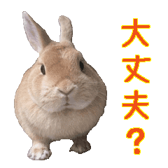 うちのもふもふうさぎ いちご Line スタンプ Line Store うちのもふもふうさぎ いちご Line スタンプ Line Store