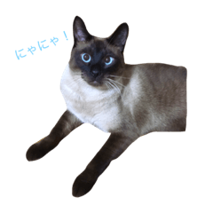 aochinari