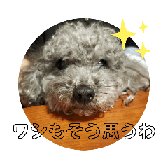 kaori_20210714182259