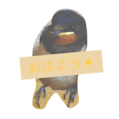 つばめたん Line スタンプ Line Store