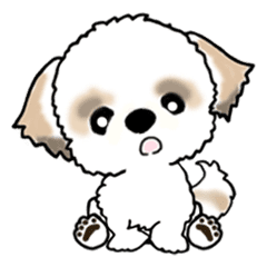 Daily Life Of A Shih Tzu Dog Line Stickers Line Store