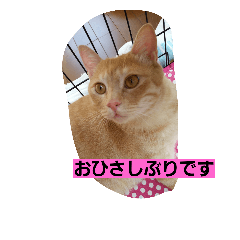 Soliloquy of Kyuta two