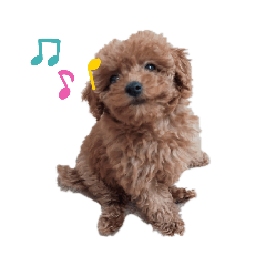 cocoa_20210714141316